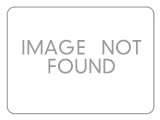 Image Caption